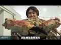 top 10 giant crabs 10x king crab size deep sea terror—know them