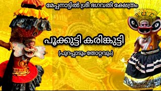 പൂക്കുട്ടി കരിങ്കുട്ടിചാത്തൻ തിറ (പുറപ്പാടും തോറ്റവും )|മേപ്പനാട്ടിൽ ശ്രീ ഭഗവതി ക്ഷേത്രം, ചെറുകുളം