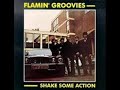 flaming groovies shake some action