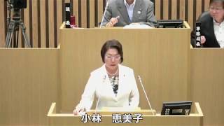 平成29年9月定例会　小林恵美子議員