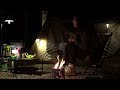 perfect solo tent camping sound of birds in the forest cozy vibes relaxing asmr