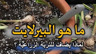 ما هو البيرلايت | لماذا يضاف للتربة الزراعية | أهمية و فوائد البيرلايت | What is perlite