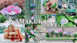 [ Japanese Vlog ] Kamakura Hydrangea Tour (Meigetsuin / Yuigahama / Cafe / Enoden)