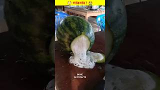 তরমুজ খাওয়ার আগে সাবধান হয়ে যান। 🤮😳 #shorts #watermilon