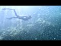 cressi gara modular impulse blue freediving gopro hero 11