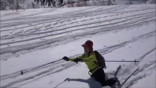 BCクロカン＠栂池自然園　積雪情報　2016年3月17日