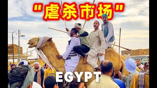 探秘 · 非洲最大、最暴力的「駱駝交易市場」｜Exploring Africa's largest and most violent camel trading market