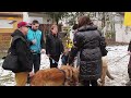 324. leonberger pferdemarkt ausführlicher bericht 10.02.2015