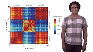 Andre Fenton (NYU) 1: Reconstructing memory