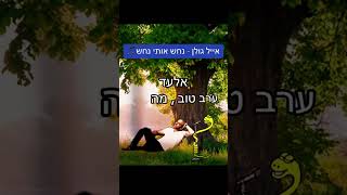 אייל גולן - נחש אותי נחש