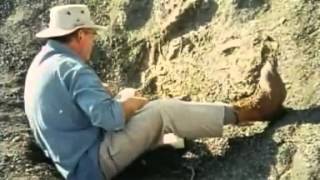 Evolution Primer #3 How Do We Know Evolution Happens