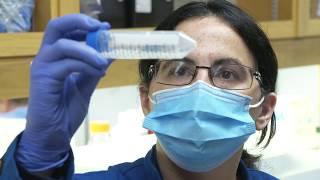 SPUTUM PROCESSING