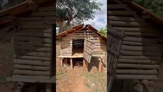 Treetop House  | Sustainable Living in the Trees 🌿🏡  ಮರದಮೇಲೊಂದು ಮನೆಯಮಾಡಿ | #shorts