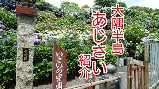 ＜４K＞大隅半島あじさいのみどころを紹介／鹿児島のパワースポット見て、歩いて行こう!!