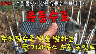 EP87. 겨울 물안개 | 딸기하우스 | 겨울낚시터 | 창원 | 유등수로 | 주천강 | 붕어낚시 | Crucian Carp Fishing