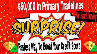 $50,000 In Primary Tradelines. Fastest Way To Boost Your Credit Scores