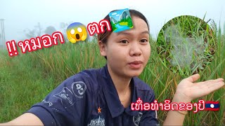 หมอกลงยามเช้า บรรยากาศดีมาก | ຫມອກລົງຍາມເຊົ້າບັນຍາກາດດີແຮງ🇱🇦#ธรรมชาติ #ทุ่งนา