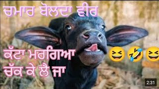 ਚਮਾਰ ਬੋਲਦਾ ਵੀਰ (chamar bol da veer) 🤣 funny #2023 #vlog #funnyvideo #chamarbolda