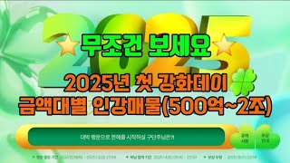 2025년 첫 강화데이 금액대별 인강매물(500억~2조)