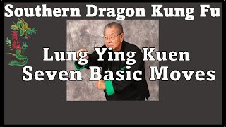 Southern Dragon Kung Fu "Lung Ying Kuen' - 7 Dragon Moves