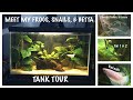 Meet My Betta Fish, Frogs, & Snails + Tank Set Up & Tour