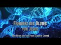 frequenz des blutes von jesus meditation toby meyer