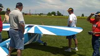 50% Clipped Wing Cub Maiden Flight