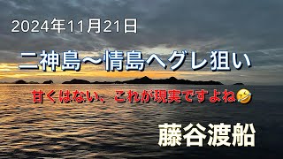 2024年11月21日、二神島～情島でグレ狙い（涙）