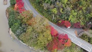 宇甘渓の紅葉その1(マビックミニ撮影39日目)