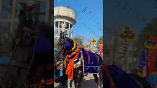 🌸NAGAR KIRTAN SRI AMRITSAR SAHIB🌸 #youtube #shortvideo #khalsa #trendingshorts #wmk #khalsa #singh