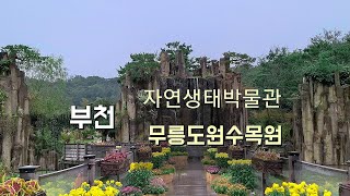 # 11 🌼🍃 부천 가볼만한곳 무릉도원수목원,자연생태박물관,  걷기좋은길, 산책하기 좋은곳