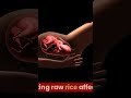 benefits of eating raw rice 🤫🤫🤫🤫 full video on my channel rawrice cookingrice