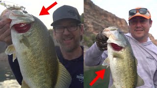 1v1 Challenge Returns! Teckel Kicknocker And Frog Showdown! Who's The Better Fisherman?