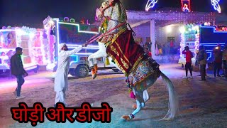 राजस्थानी इस घोड़ी ने किया 5 डीजे पर डांस !! ghodi dance vs dj dance !! गजबण पानी ने चाली