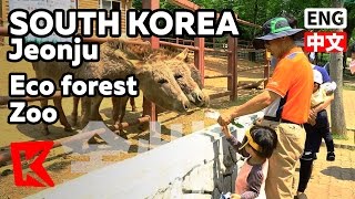 【K】 전주 여행 전북 여행 생태숲으로 변한 전주 동물원