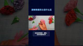 烈士园陵献花用什么花？清明节去陵园祭拜献花讲究？