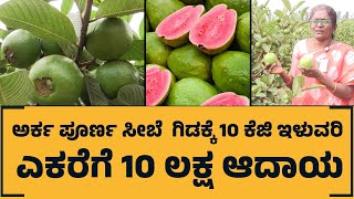 ಅರ್ಕ ಪೂರ್ಣ ಸೀಬೆ ಒಂದು ಗಿಡಕ್ಕೆ 10 ಕೆಜಿ ಇಳುವರಿ | Guava | Arka Guava | kannada Naadu