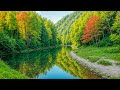 Beautiful Relaxing Music - Stop Overthinking, Stress Relief Music, Sleep Music, Calming Music #274