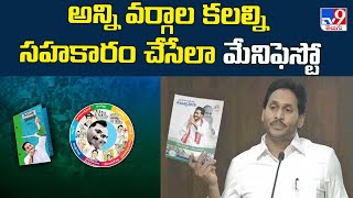 YSRCP Manifesto 2024 Released || అన్ని వర్గాల కలల్ని సహకారం చేసేలా  మేనిఫెస్టో | CM YS Jagan - TV9