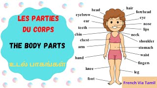 THE BODY PARTS | Les Parties du Corps | உடல் பாகங்கள் | Learn French through Tamil