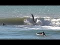 the best small waves i ve ever surfed in california. shralp stories episode 6