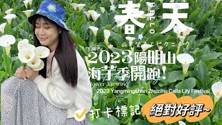 2023陽明山海芋季開跑！2023 Yangmingshan Zhuzihu Calla Lily Festival❤️😍💕