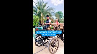 A Carriage Ride Through Muskau Park