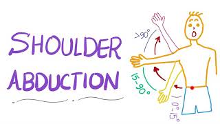 Shoulder Abduction - Muscle Action - Review - Anatomy Upper Extremity 💪