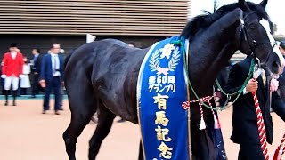 有馬記念2015優勝ゴールドアクター