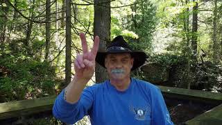 Devon Falls, Abbotsford, BC, Canada with directions by RSamson. Aerial drone waterfalls