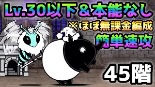 風雲にゃんこ塔 45階  これで楽に勝てる！  Lv.30以下＆本能なし＆ほぼ無課金編成で速攻！　にゃんこ大戦争　　Heavenly tower floor 45