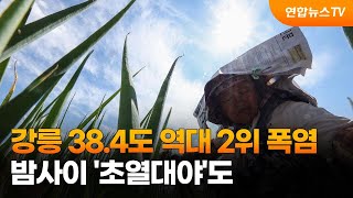 강릉 38.4도 역대 2위 폭염…밤사이 '초열대야'도 / 연합뉴스TV (YonhapnewsTV)