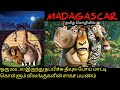 Madagascar| Animation Movie Explained in Tamil | Ending Explained | Time Loop Tamizha
