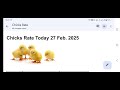 27 feb. chicks rate update today